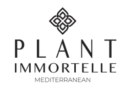 Plant immortelle