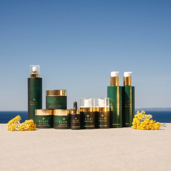 Plant Immortelle poklon bon