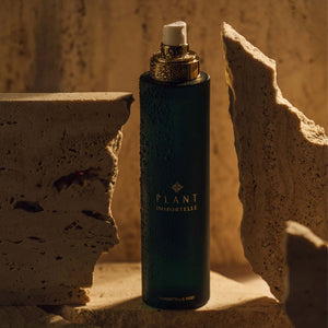 Golden set za suho kožo obraza