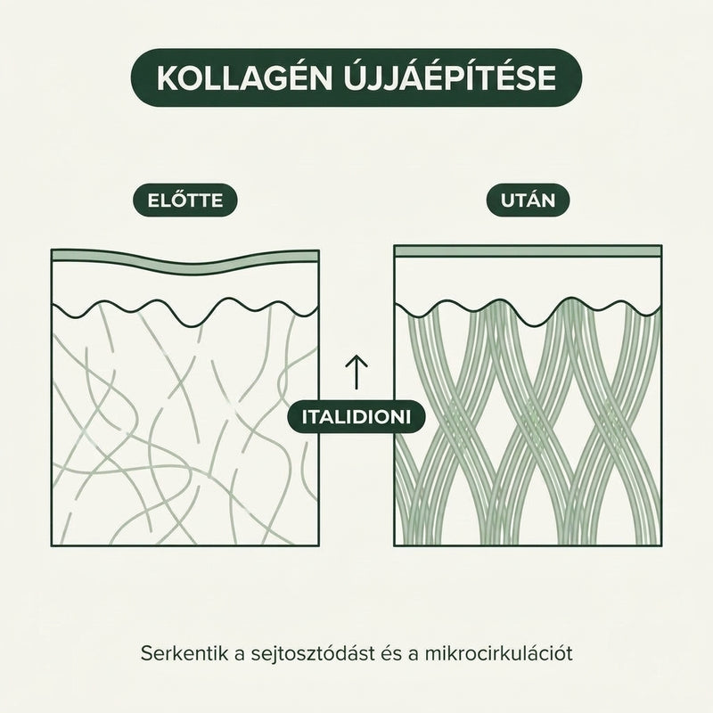 wrinkle-lp-collagen-diagram