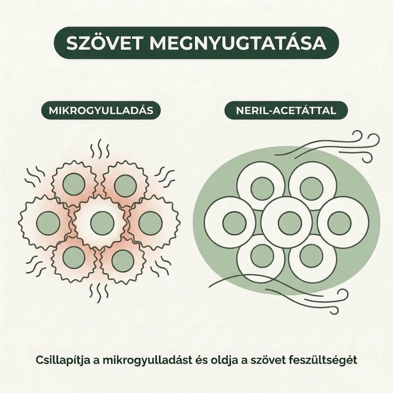wrinkle-lp-neril-diagram