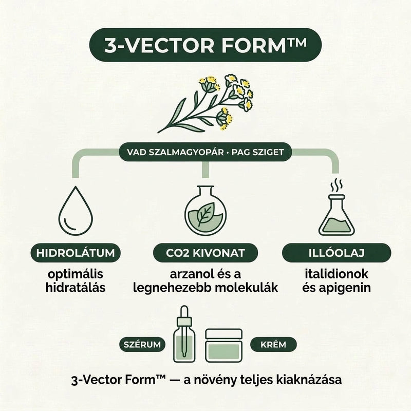 wrinkle-lp-vector3-v2